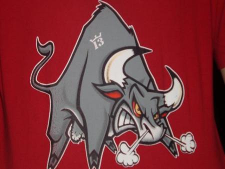 toros